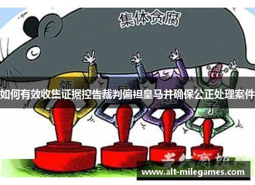 如何有效收集证据控告裁判偏袒皇马并确保公正处理案件